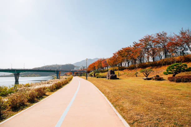istock Miryang riverside park walkway at autumn in Miryang, Korea 1301038699