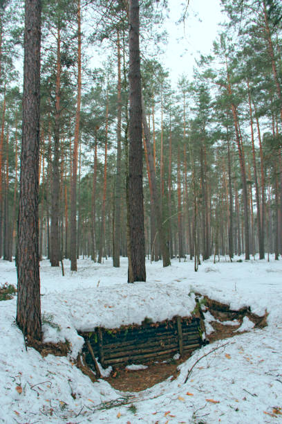 istock Partisan trenches during the Second World War in Ukraine 1301038728