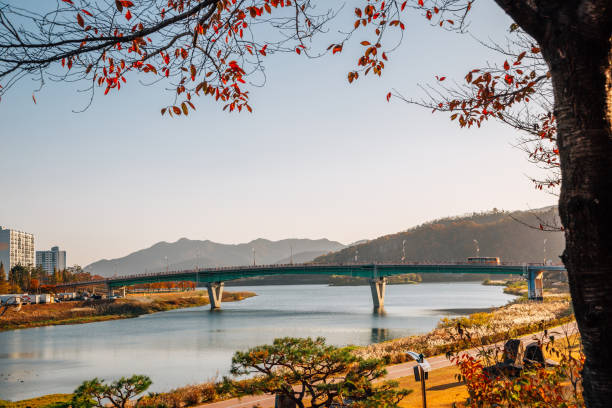 istock Miryang riverside park at autumn in Miryang, Korea 1301038836