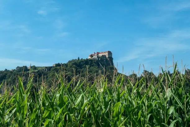 Riegersburg castle in Austria towering above the area. There are mais crops ripening on the field in front. Clear blue sky above the castle. The massive fortress was build on the rock. Middle ages