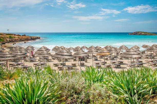 panorama der nissi beach bay. klares wasser, sommerzeit, tolles wetter - famagusta stock-fotos und bilder