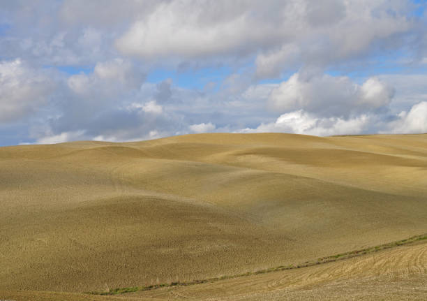 Rural scene in val d'Orcia.