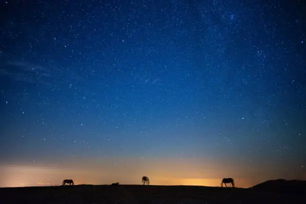 Photo of Star gazing is meditating. Wide shot of a beautiful landscape with a silhouette of a horse grazing at night and a majestic starry sky behind. Inspiration and spirituality. Mental health.
