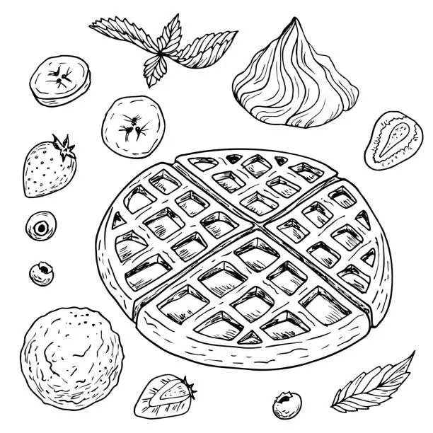Vector illustration of A set for breakfast or dessert. Waffles with fillings. Berries, fruits, icecream and cream. Hand drawn vector. Monochrome black and white ink. Isolated on white. Coloring page.