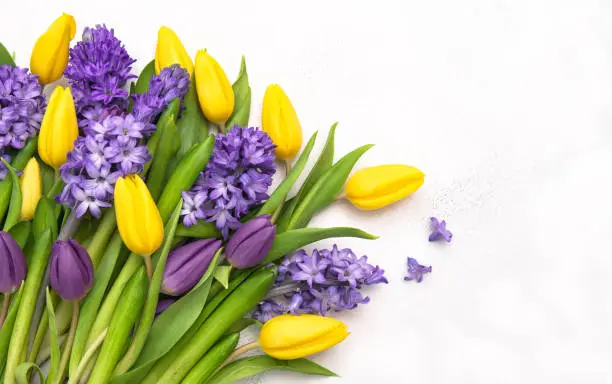 Photo of Tulip hyacinth flowers bouquet. Spring floral background