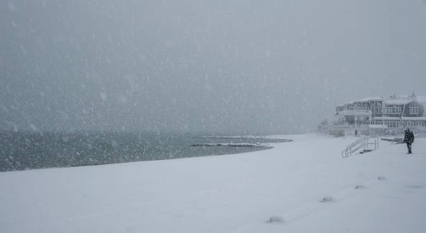 istock Snow Storm over the Cove with Jetties on Cape Cod in February 1301046100
