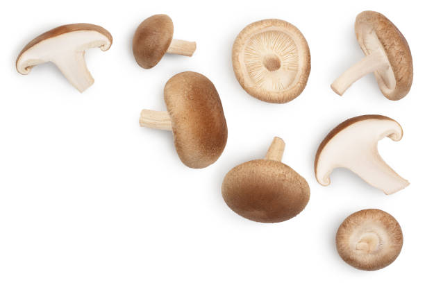 istock Fresh Shiitake mushroom isolated on white background with clipping path. Top view with copy space for your text. Flat lay 1301047187