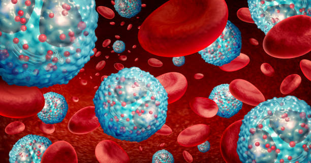 эозинофил белые кровяные клетки концепция - acidophile organism стоковые фото и изображения