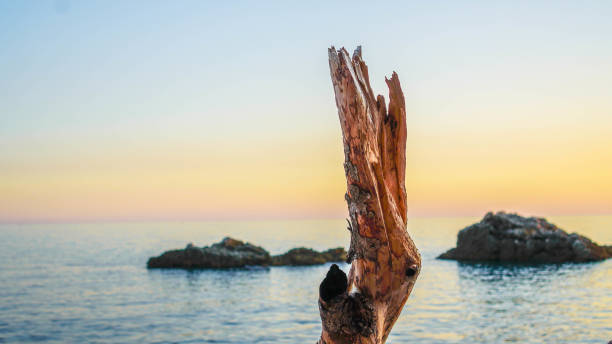 istock Panoramic view of pebble beach with clear azure blue water and layered rocks, beautiful mediterranean Adriatic Sea coast, Montenegro 1301048088