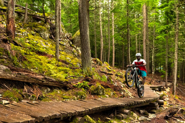 istock Male mountain biker riding in a forest 1301049477