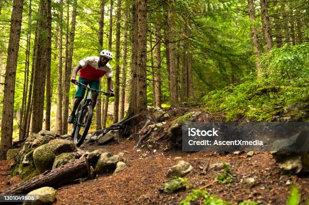 Male Mountain Biker Riding In A Forest Stock Photo - Download Image Now - Mountain Biking, Cycling, Mountain Bike