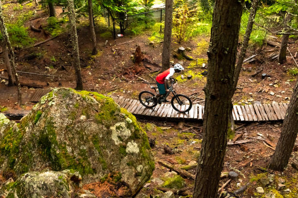 istock Male mountain biker riding in a forest 1301049526
