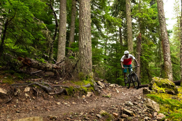istock Male mountain biker riding in a forest 1301049545