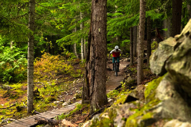 istock Male mountain biker riding in a forest 1301049567