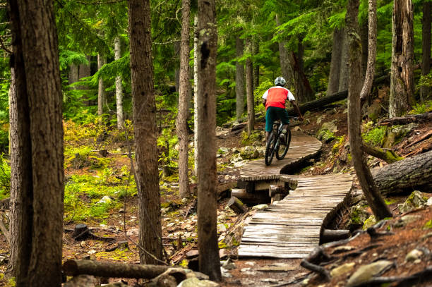 istock Male mountain biker riding in a forest 1301049581