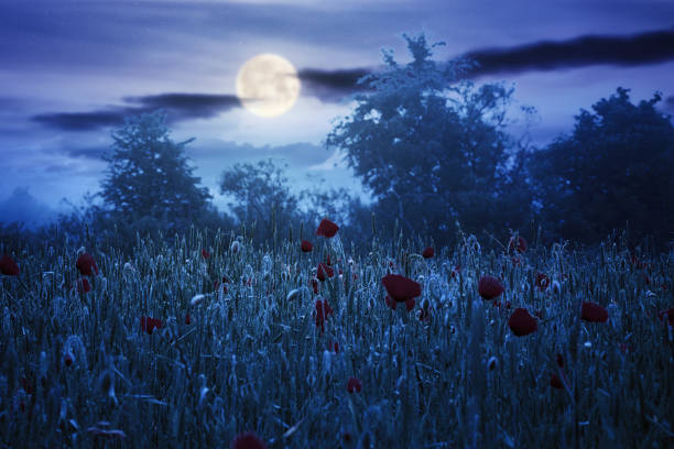 Strawberry full moon rising over the green hill with copy space.