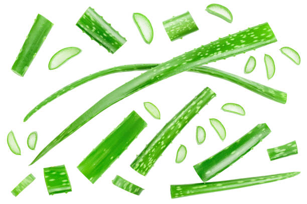 istock Aloe vera with slices isolated on white background. Top view. Flat lay. 1301050920
