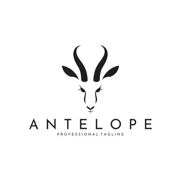 illustrations, cliparts, dessins animés et icônes de logo antilope - antilope