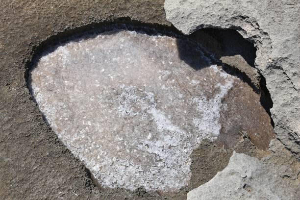 istock Sea salt rock deposit 1301051866