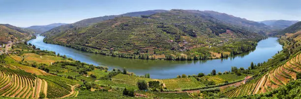 Amazing views of Douro vineyards and river from Messao Frio in Portugal