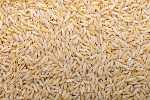 istock Barley noodle grains. Background and texture. 1301054206