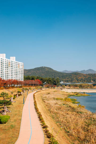 istock Miryang riverside park at autumn in Miryang, Korea 1301055546