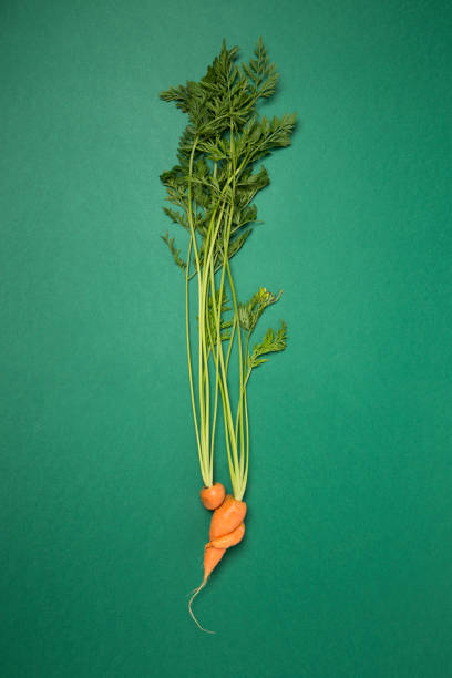 istock Imperfect carrot on green background 1301055895