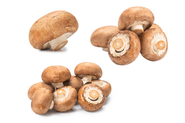 istock Tasty mushroom isolated on white background. 1301056936