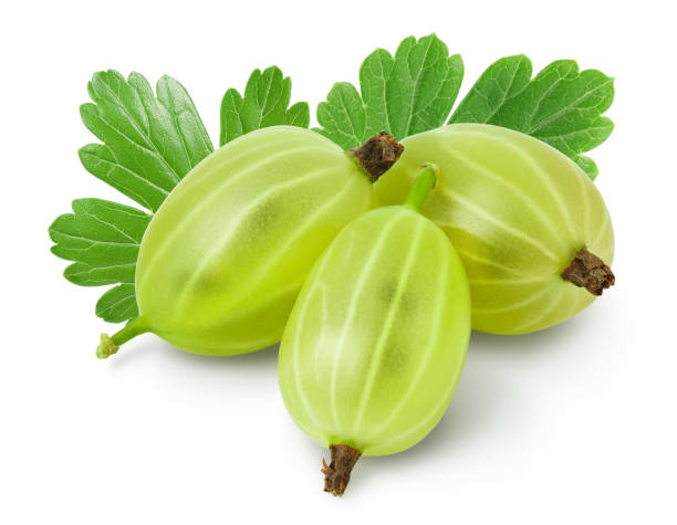 uva spina verde isolata su sfondo bianco con percorso di ritaglio e piena profondità di campo - gooseberry foto e immagini stock