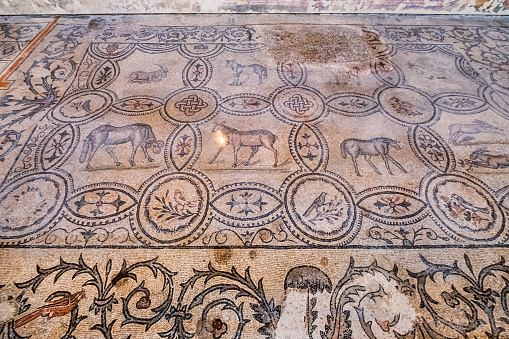 Mosaics that can be admired in the Basilica di Santa Maria Assunta, the main church of Aquileia, ancient city of Roman origin.