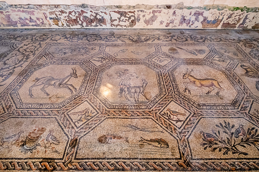 Mosaics that can be admired in the Basilica di Santa Maria Assunta, the main church of Aquileia, ancient city of Roman origin.