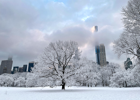 View of snow covered Sheep's Meadow at Central Park, NYC.