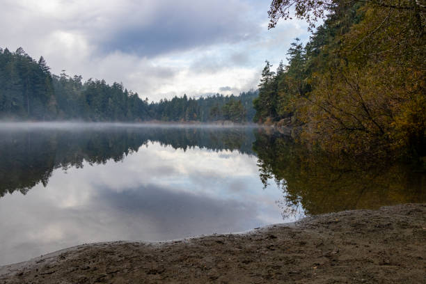 istock mist rising over calm water reflecting forest trees 1301060215