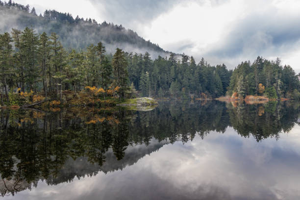 istock Fog on a calm lake with forest refelecting in the water 1301060948