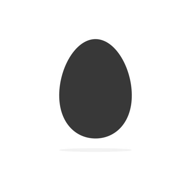 illustrations, cliparts, dessins animés et icônes de icône noire d’oeuf. oeuf de poulet. - egg