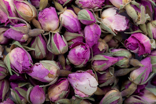 istock Flower tea rose buds. Background and texture. Close up. 1301064070