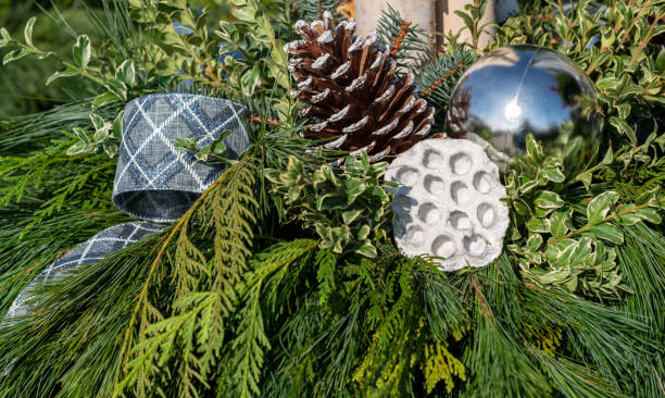 istock Christmas plant with pine cones and fir greenery 1301068288