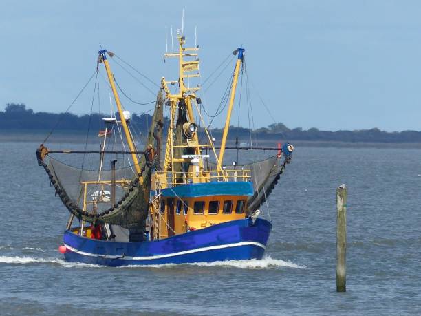 A fishing boat fishing in the Lower Saxony Wadden Sea between the island of Spiekeroog and Neuharlingersiel.