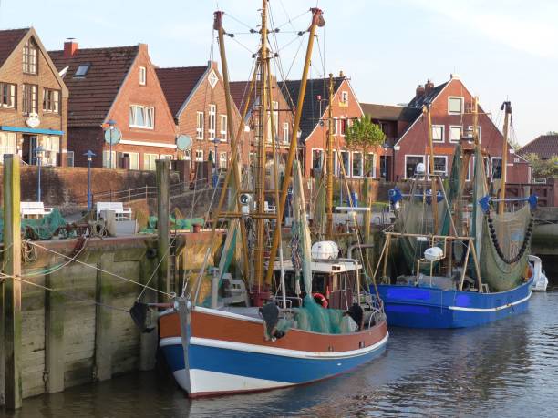 istock Lower Saxony, East Frisia 1301069468