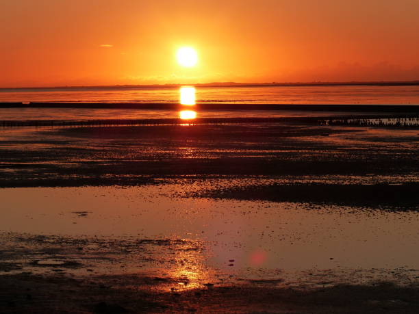 istock Lower Saxony, East Frisia 1301069503