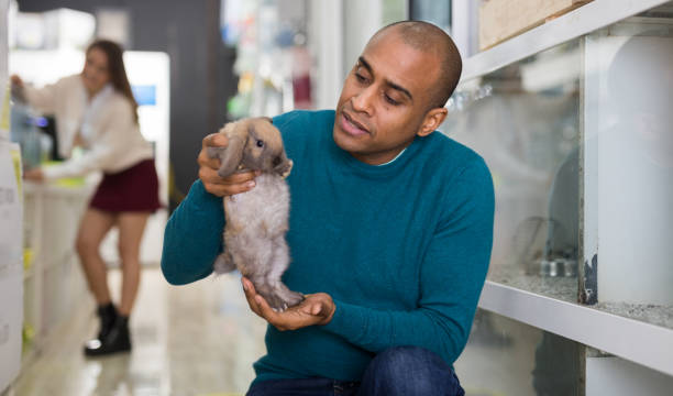 istock Portrait of man holding rabbit in hands 1301071147