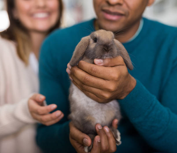 istock Happy couple holding rabbit in pet sho 1301071151
