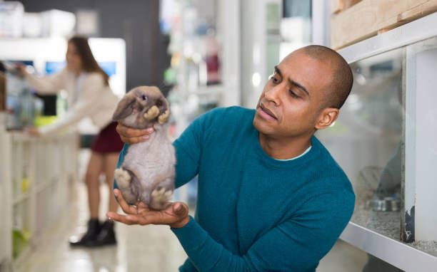 istock Man holding cute rabbit in pet shop 1301071153
