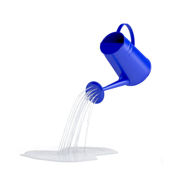 istock Pouring water with watering can 1301072078
