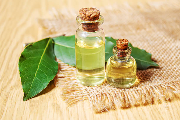 istock bay leaf oil in a small bottle.selecve focus 1301072616