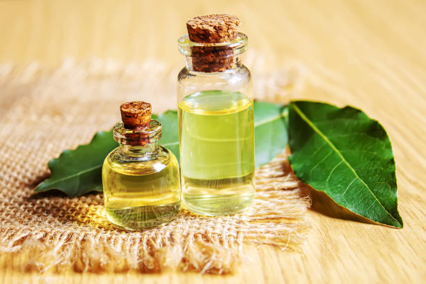 istock bay leaf oil in a small bottle.selecve focus 1301072626