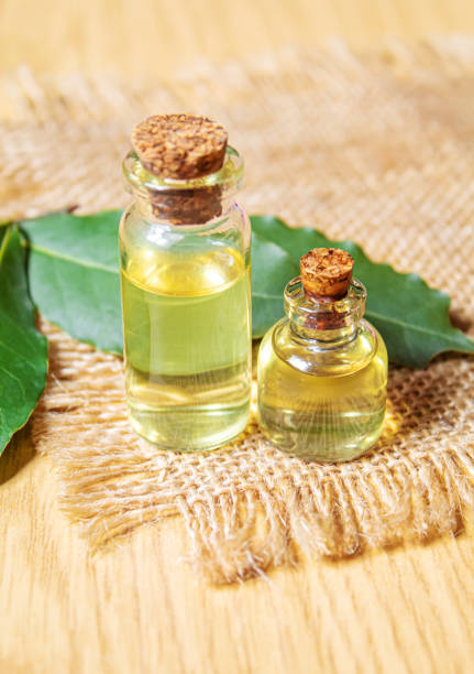 istock bay leaf oil in a small bottle.selecve focus 1301072635