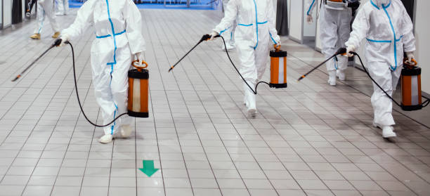 istock Disinfection to prevent COVID-19 1301073804