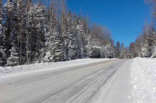 Nordic country winter photography.