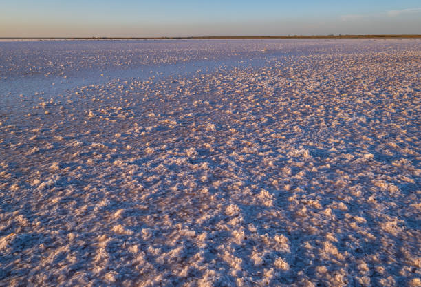 istock Sunset Genichesk pink salty lake, Ukraine 1301076391